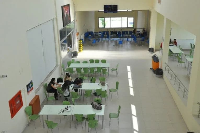 Gallery image 7
