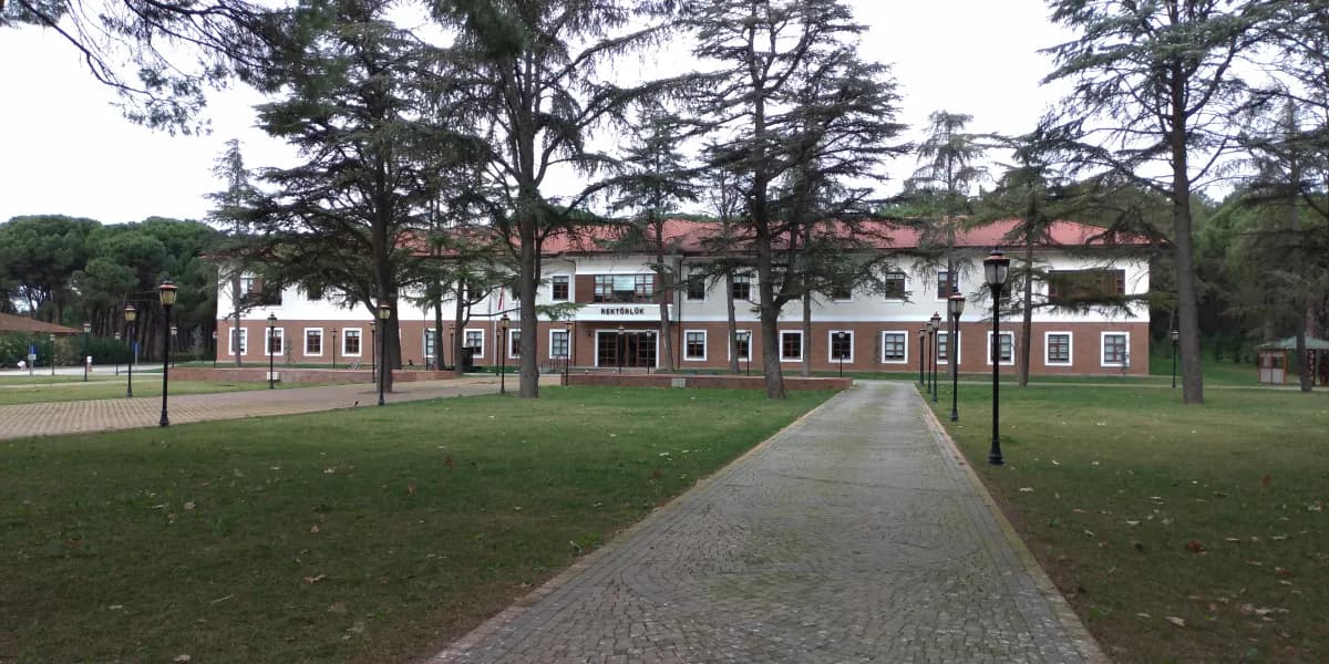 Gallery image 9