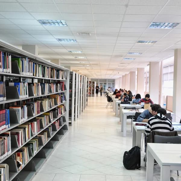 Gallery image 6