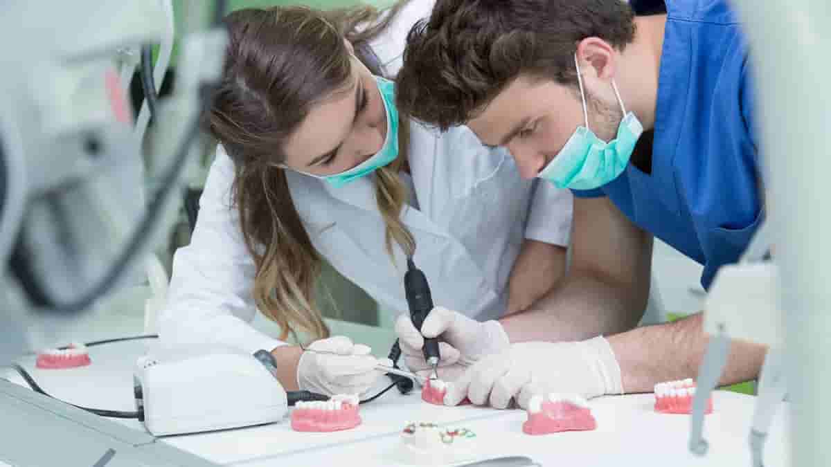 Istanbuldagi Eng Yaxshi Stomatologiya Universitetlari: Dastur Tuzilishi, Karyera Imkoniyatlari